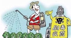 农药中毒后为何会反弹“反跳”